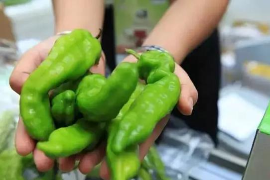 雙十一狂歡下，有機(jī)農(nóng)產(chǎn)品能否依然“好酒不怕巷子深”？