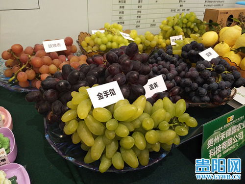 2019中國貴陽國際特色農產品交易會盛大開幕，農產品貿易迎來新機遇