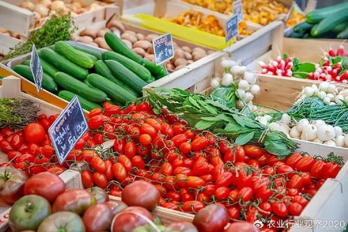 農產品B2B電商 顛覆傳統模式，開啟未來新篇章