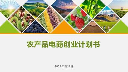 農產品電商創業計劃書 構建數字化生態，賦能現代農業新未來